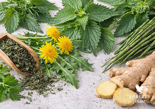 گیاهان طبیعی برای پاکسازی کلیه